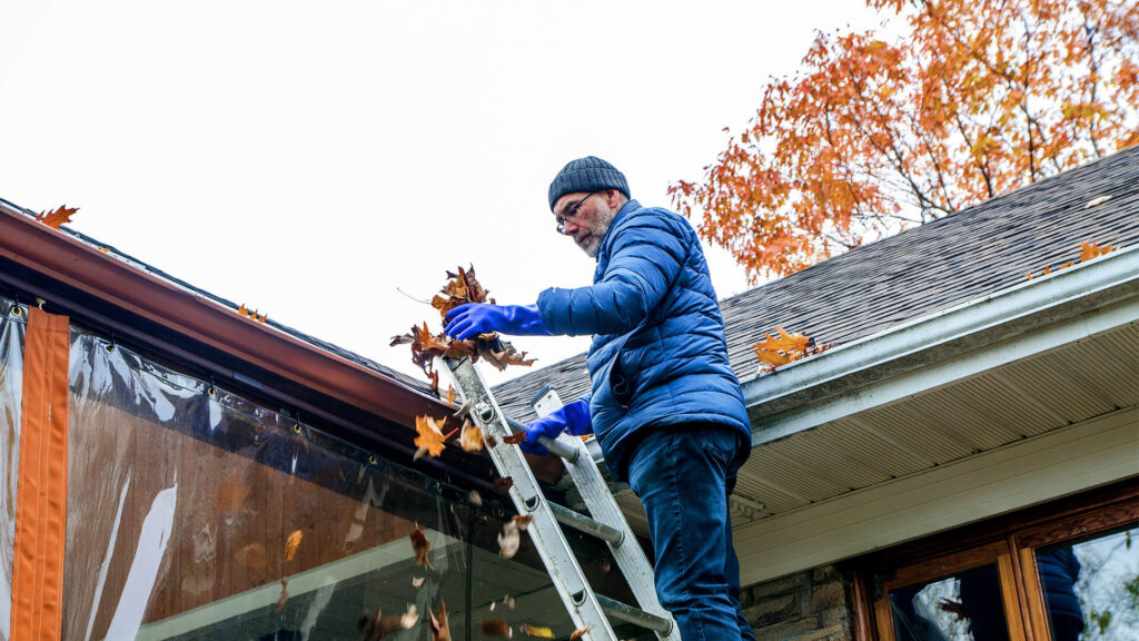 https://shine-pros.ca/gutter-cleaning-service-langford/