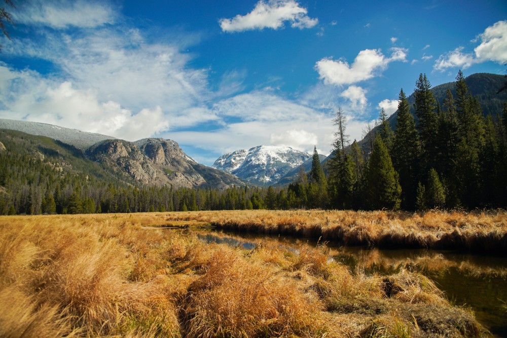 Land Boss Makes Selling Land In Washington Simple